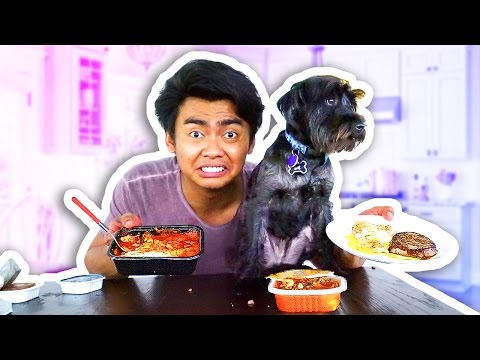 DOG FOOD VS HUMAN FOOD! Video