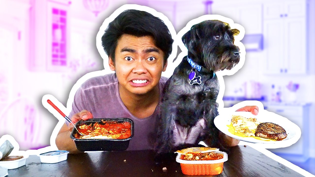 DOG FOOD VS HUMAN FOOD!