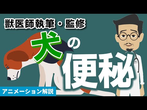 犬の便秘:原因、症状、治療法