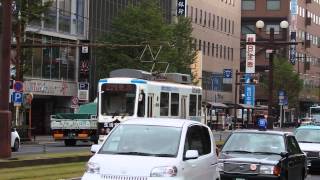 preview picture of video '鹿児島市電9500形 天文館通～高見馬場 Kagoshima City Tram Type 9500'