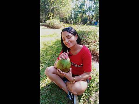 Tire um tempo para você I Conheça o Parque Villa-lobos I São Paulo - SP