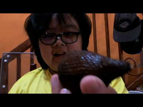 Review - Salak ( snake fruit )