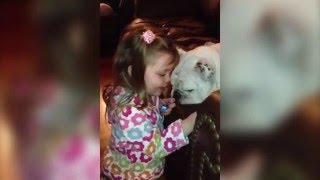 faze tari fetita si cainele