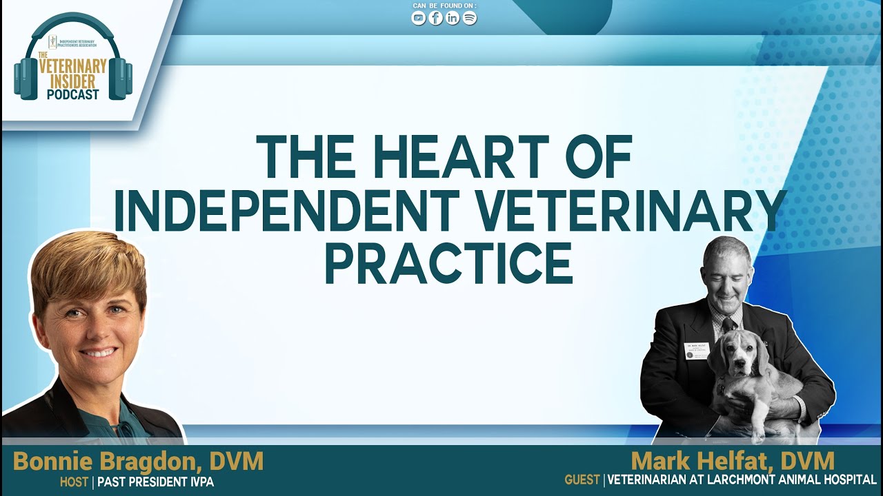 The Heart of Independent Veterinary Practice with Mark Helfat, DVM, Vet at Larchmont Animal Hospital