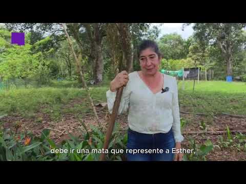El Jardín de la memoria: la familia que convirtió la desaparición en símbolo de esperanza en el Meta