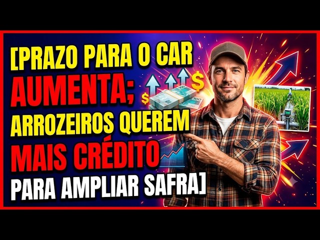 Prazo para o CAR aumenta; Arrozeiros querem mais crédito para ampliar safra.