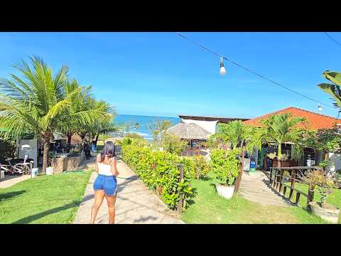 Beach of itapuama Cape Pernambuco