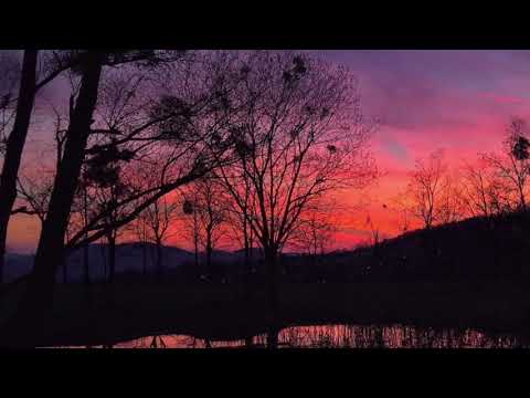 2.Laikrodis - Einu letai feat  Shmkl & Vaiper (Despotin Fam)