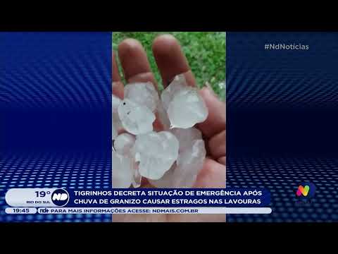 Tigrinhos decreta situação de emergência após chuva de granizo causar estragos nas lavouras