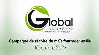 Campagne récolte du mais fourrager ensilé décembre 2023
