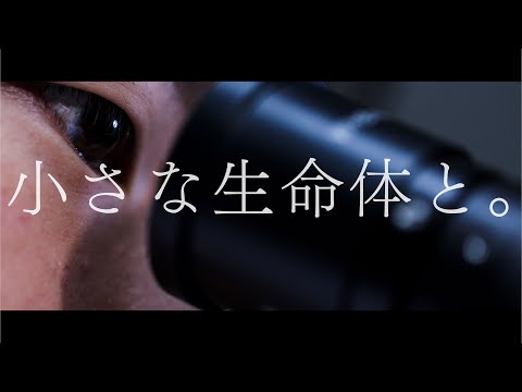 経営学科 臨床検査学科 PV『小さな生命体と。』