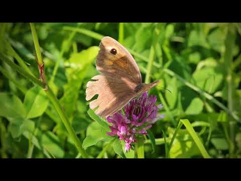 Hösbach - Ein bevorzugter Ort zum Leben und Arbeiten