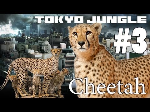 Tokyo Jungle: Cheetah Survive over 100 years  Part 3 of 4