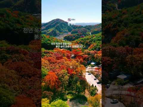 2025 안동 관광 숏폼 공모전 대상 미리보기 사진