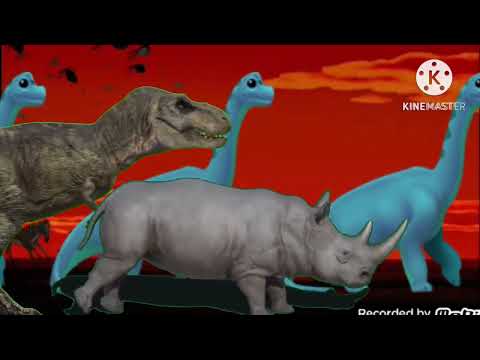 Animal Stampede Part 1