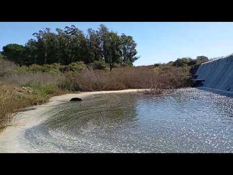 Día feriado en Aguas Blancas #uruguay #lavalleja #minas #agua #aguasblancas #represas