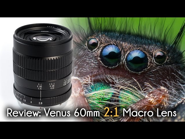 Video Teaser für A Quick Review of the VENUS V-DX 60mm f/2.8 2:1 Ultra-Macro Lens