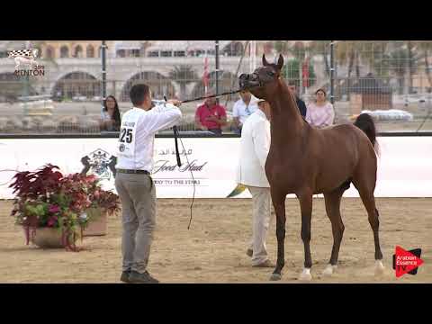 N.125 D JARI - Menton 2019