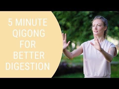 Qigong for Better Digestion - Qigong for Beginners - Easy Qigong Exercises