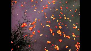 Koss   Endless Flight