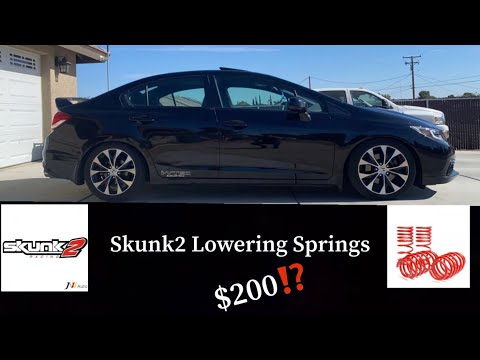 Are Skunk2 Lowering Springs worth it? 9th gen Si