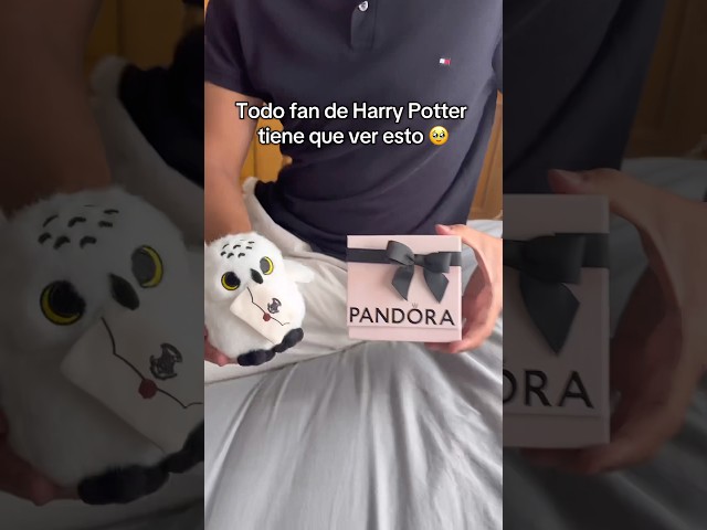 Vídeo relacionado con Pulsera de cadena ajustable plateada de Harry Potter Hogwarts para los fans de Harry Potter