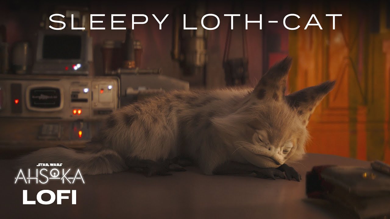 Sabine’s Loth-Cat | Star Wars Lofi