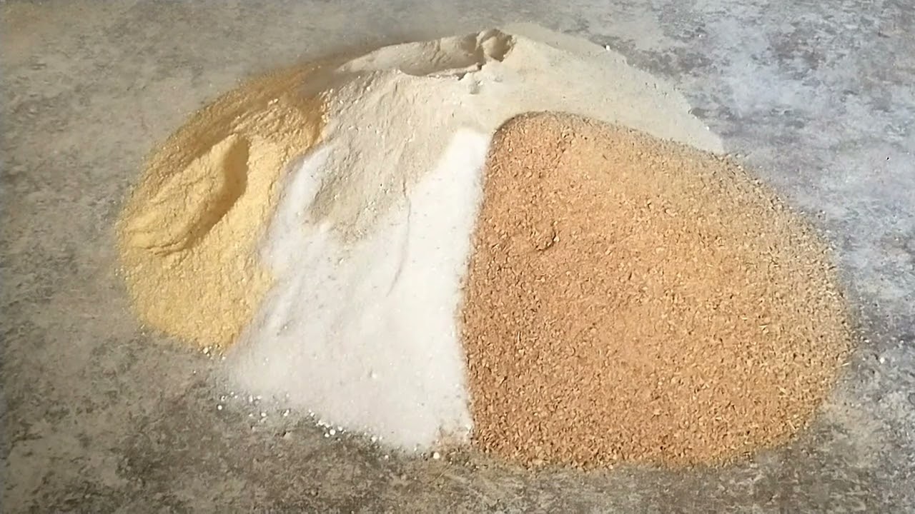 com quantos dias um leitão começa comer ração,qual e a ração ideal para os porquinhos novos?