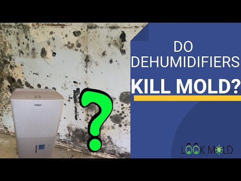 3rd YouTube video about what are dehumidifiers