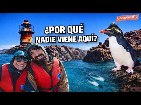 Lo más salvaje que hemos visto en Argentina (Isla Pingüino)