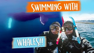 This is THE BEST thing to do in Iceland - hands down!! 😱😍