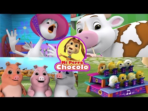 ENGANCHADOS PERRO CHOCOLO - LOS POLLITOS DICEN, TRES CHANCHITOS, CABALLITO BLANCO