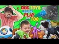 DOG TOYS vs TV! FUNnel Family Vlog