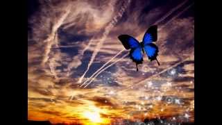 Corinne Bailey Rae - Butterfly (Lyrics)