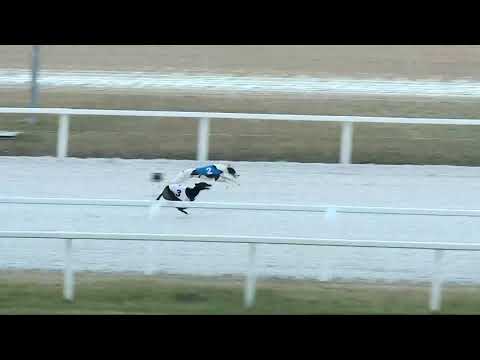 2017.12.31. 4. futam - AGÁR VERSENY