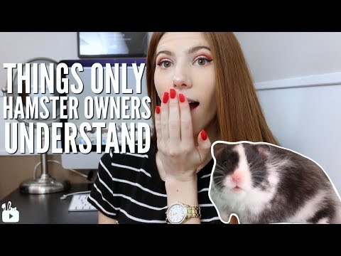 Things ONLY hamster owners understand