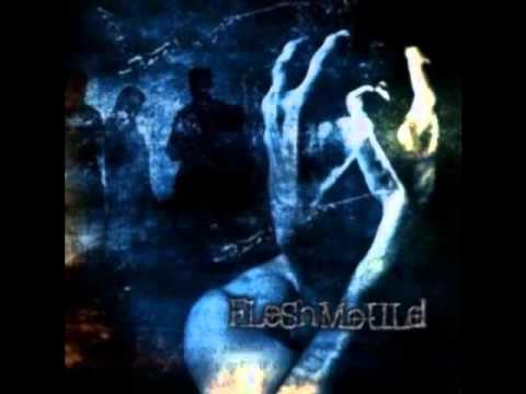 Fleshmould - Argus