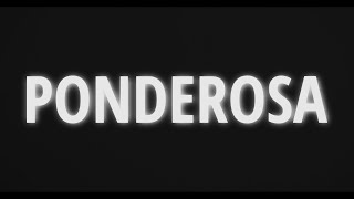 Ponderosa