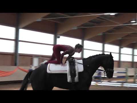 Voltigieren - Turnier Weicht 2020 - Elena Thauer