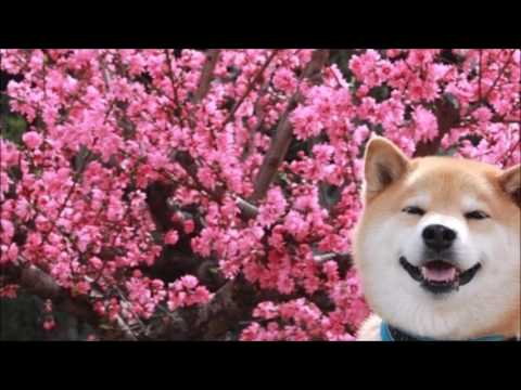 (FREE) Lil Yachty x Ugly God Type beat "Summer" (prod. Degrasse Beats x Nonbruh)