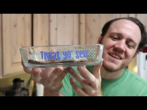 Eating liver for depression pt. 2 - more insights!