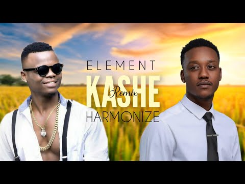 Harmonize - Kashe Remix Ft Element Eleeh (jonart_lyrics_video)