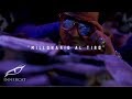 El Alfa El Jefe Ft La Manta MILLONARIO AL TIRO Video Official