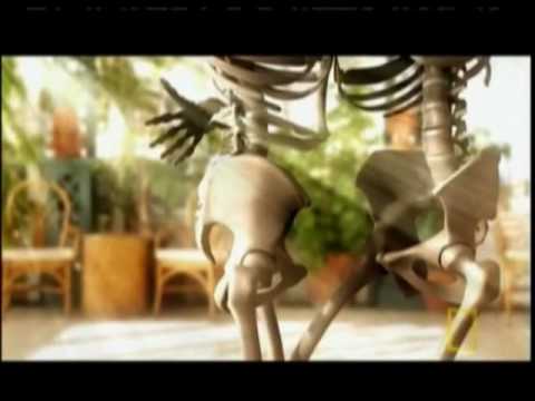 14. La vejez...y la muerte