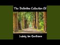 Symphony No- 2 in D Major, Op- 36 II- Larghetto