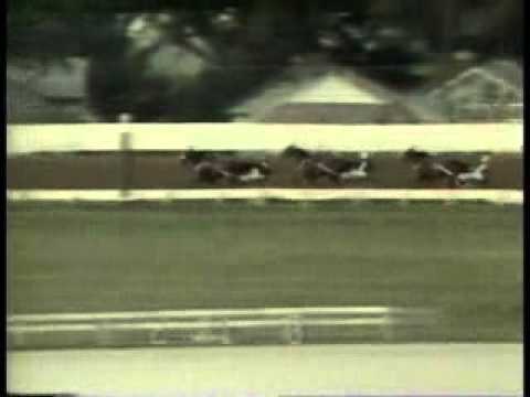 Kentucky Futurity RaceOff 1985 -Flak Bait