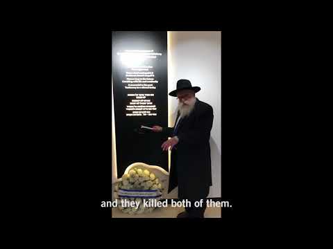 Child rescued from Mumbai Chabad massacre makes emotional return