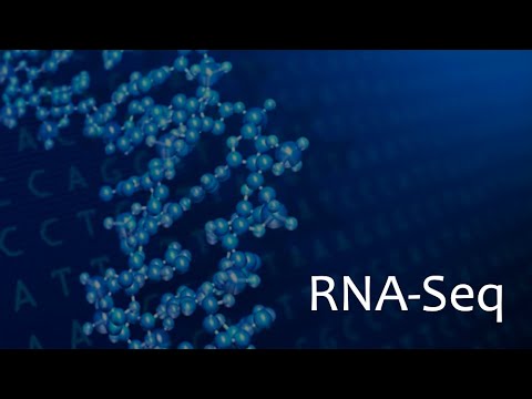 RNASeq Overview