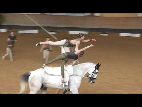 Bayerische Meisterschaften 2019 - Voltigieren - Gruppe Gut Waffenschmiede Junior 1