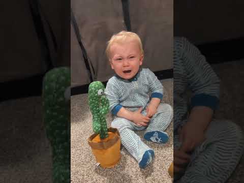 Baby and talking cactus toy#music #baby #toys #funny #cute